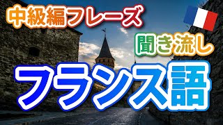 【中級編No1】初級よりちょっと難しい！挑戦あるのみ・フランス語リスニング 36 [upl. by Tobiah]