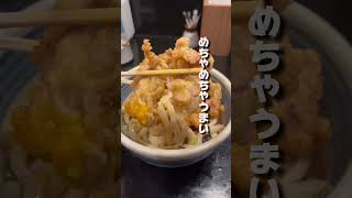 ✍️新宿グルメ！うどん激戦区でリーズナブルで美味いうどん３選 新宿グルメ 新宿ランチ [upl. by Aninay12]