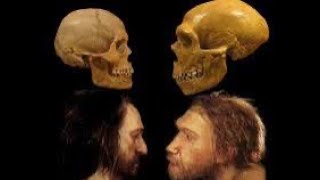 Neanderthals Vs Homo Sapiens A Dietary Showdown neanderthal homosapien diet food history vs [upl. by Klusek197]