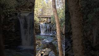 The beautiful Elekala falls hiking nature shorts [upl. by Yantruoc783]