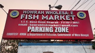 Howrah wholesale fish market 16112024 [upl. by Farrish386]