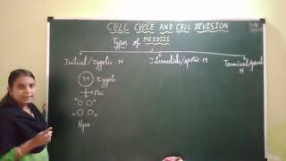 Cell cycle and cell division Meiosis Introduction amp Types of Meiosis [upl. by Nosretep]