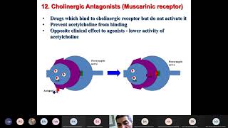 Phytochemistry II Alkaloids 2 [upl. by Lyndon710]