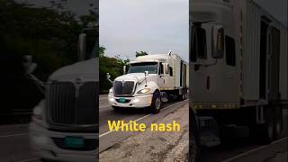 White nash [upl. by Austreng]