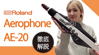 【絶対買い！】最新機種 Roland エアロフォン AE20を徹底解剖してみた！ [upl. by Naashom]