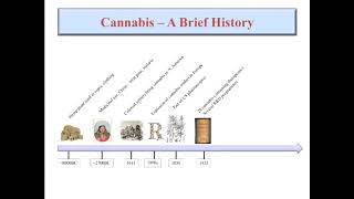 Jason McDougall Cannabinoids in the Treatment of Arthritis Pain [upl. by Ayouqes998]