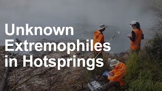 Unknown Extremophiles in 1000 Hot Springs [upl. by Alaekim897]