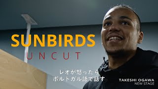 SUNBIRDS UNCUT｜TAKESHI OGAWA NEW STAGE [upl. by Eelamme]