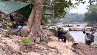 🏕️ACAMPEI EM UMA ilha de um riacho fiz uma BOA PESCARIA E jantei peixe frito vi animais e pássaros [upl. by Nesto639]