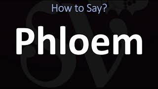 How to Pronounce Phloem CORRECTLY [upl. by Ennaid]