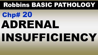 Ch20  ADRENAL Insufficiency  Endocrine Pathology  Dr Asif Lectures [upl. by Sibelle337]