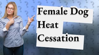 At what age do female dogs stop going into heat [upl. by Noside]