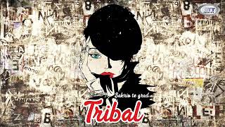 TRIBAL®  Razlog Official Audio [upl. by Dayir]