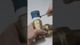 Bypass valve for heating [upl. by Adnuhser730]