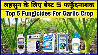 लहसुन की फसल के लिए बेस्ट 5 फफूँदनाशक  Lahsun ke liye best fungicide  Lahsun ki kheti kaise kare [upl. by Pevzner]