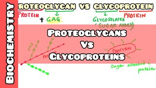 Proteoglycan VS Glycoproteins easy explanation for USMLE NEET PG INICET NCLEX [upl. by Comfort]