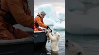 Tiny Polar Bears Heartwarming Rescue polarbearrescue wildlifeconservation arcticanimals [upl. by Aimahc]