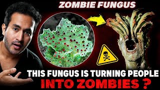 ALERT This ZOMBIE FUNGUS is Taking Over the World  Why Are Scientists Worried [upl. by Elna149]