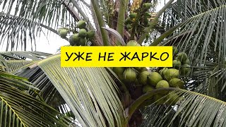 Вьетнам Нячанг погода сегодня 17 октября 2024 года ❤️ Не жарко и комфортно [upl. by Ettenwad795]