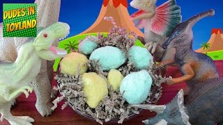 Dinosaur eggs  surprise fizzing hatching dino toys [upl. by Ahsyt617]