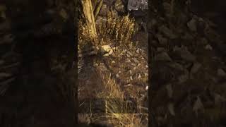 Krag wiping out a Duo in Hunt Showdown HuntShowdown PvP Solo Headshots [upl. by Zelazny]