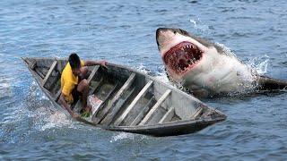 Shark Attack on Fishing Boat 8  A great White Shark Attack Short Movie [upl. by Yroggerg]