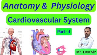 Cardiovascular System  Part 1  Structure  Functions  Study Help And Health By Dev Sir [upl. by Levana]