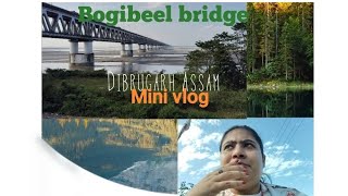 Bogibeel bridge mini vlog • Dibrugarh Assam • short trip ✅❣️🌈 [upl. by Elvera489]