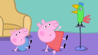 Peppa Pig Playground 🦜  Pollys Holiday  Peppa Pig Full Episodes [upl. by Dolloff]