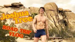 Joshua Tree Road Trip Vlog  Zander Hodgson [upl. by Dunning864]