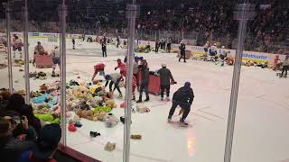 Teddy bear toss at Abbotsford Canucks game 2023 [upl. by Ahseryt593]