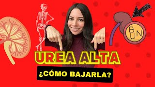 Urea alta y como bajarla [upl. by Llamaj]