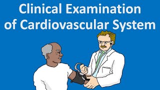 Clinical Examination of Cardiovascular System [upl. by Ahsac]