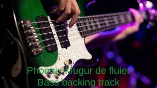 Phoenix Mugur de fluier Bass Backing Track With Vocals [upl. by Ayalahs]