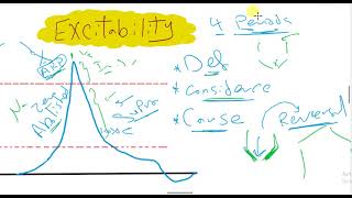 4Nerve  Excitability changes [upl. by Toby666]