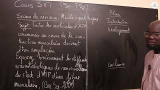 Exercices  Tle S1 amp S2  SVT Révision  Lactivité du muscle squelettique  Bac S2 2009 M Gnasse [upl. by Fredkin149]