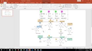 transaminase transaminasa biochemistry bioquímica metabolism [upl. by Fritts963]