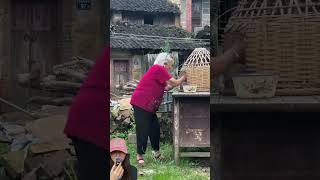 PRANK NENEK AYAM KECIL JADI SLIME TELUR NYA MENETAS ⁉️😱shorts funny dubbing [upl. by Leinehtan]