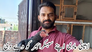 Lasani maadi sale kr di hai  lasani madi ki video  mainwali lasani maadi video [upl. by Albarran]