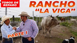 RANCHO LA VIGA  Rancho Cinco Talentos  Coahuila  Parte 1 [upl. by O'Gowan]