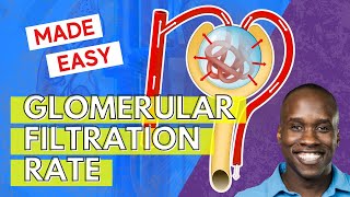 Glomerular Filtration Rate  But Easier to Understand [upl. by Nylissej]