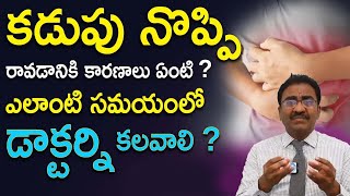 Stomach Pain  Causes and Treatment  కడుపునొప్పి తగ్గే మార్గాలు  Dr Lakshmikanth [upl. by Sillek]