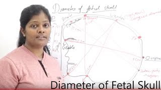 Diameter of Fetal Skull Lecture in Hindi  Types of Diameter  Diameter Measurement of Fetal skull [upl. by Ahsanat]