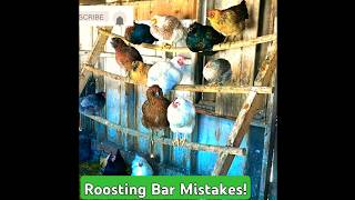 DONT Make This Epic Coop Blunder  No 2 of 6 Roosting Bars thebestchickencoop [upl. by Delora700]