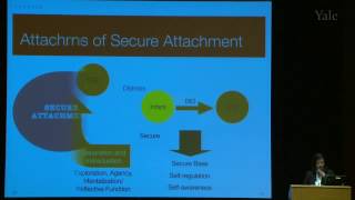 BPD MentalizationBased Therapies An Update in 2014 Lois Choi Kain 2014 HD [upl. by Willet876]