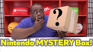 Nintendo MYSTERY Box January 2017 [upl. by Docilla]