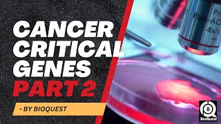 How Oncogenes and Tumor Suppressor Genes Causes Cancer  Cancer Critical Genes Part 2  Oncology [upl. by Sadie]