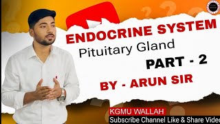 ENDOCRINE SYSTEM PART 2 BY ARUN SIR [upl. by Rehpotsihrc]