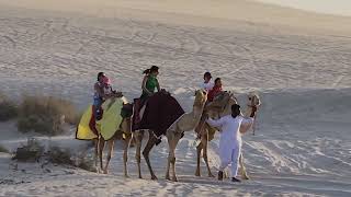 camellando en las dunas de Qatar [upl. by Llereg]