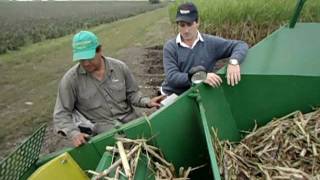 Sembradora de Caña de Azucar Neozaf 6000  Puesta a Punto Sugarcane Planter Tuningavi [upl. by Atilehs]